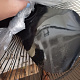 Aga Wentylator stojący 43 cm Czarny 6DAZ501 - II.GATUNEK