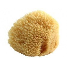 Naturalna gąbka morska do mycia dzieci i niemowląt 0m+ POUPY uniwersalny