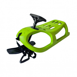 Aga Sanki DS499 Zielone