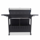 Aga Grill gazowy DS1921