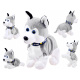 Interaktywny piesek Husky reaguje na dotyk ZA1333 uniwersalny