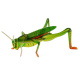 Puzzle 3 D robaki biedronka pszczoła motyl ZA0229 uniwersalny