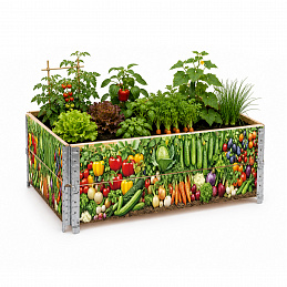 Aga Podwyższona grządka 120x80x40 cm Warzywa