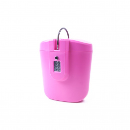 Aga Przenośny sejf różowy