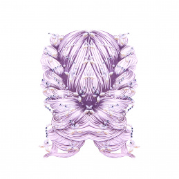 Aga4Kids NAKLEJKI NA TWARZ, CIAŁO CYRKONIE NA FESTIWAL DS8108