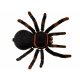 Zdalnie sterowany PAJĄK tarantula pilot RC0251 uniwersalny