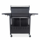 Aga Grill gazowy DS1922