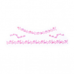 Aga4Kids Samoprzylepne cyrkonie DS8114RB