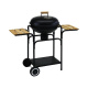 Aga Grill ogrodowy ACTIVA 19426 44 cm