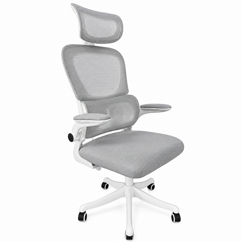 Aga Fotel ergonomiczny biurowy MR2083