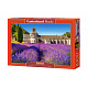 Puzzle 1000 el. Lavender Field in Provence uniwersalny