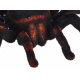 Zdalnie sterowany PAJĄK tarantula pilot RC0251 uniwersalny