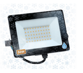 LED reflektor IVO-2 50W - zimna biel