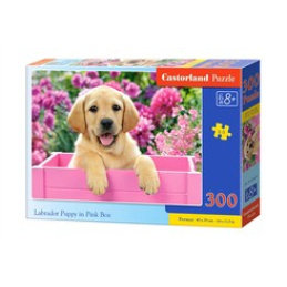 Puzzle 300 el. Labrador Puppy in Pink Box uniwersalny